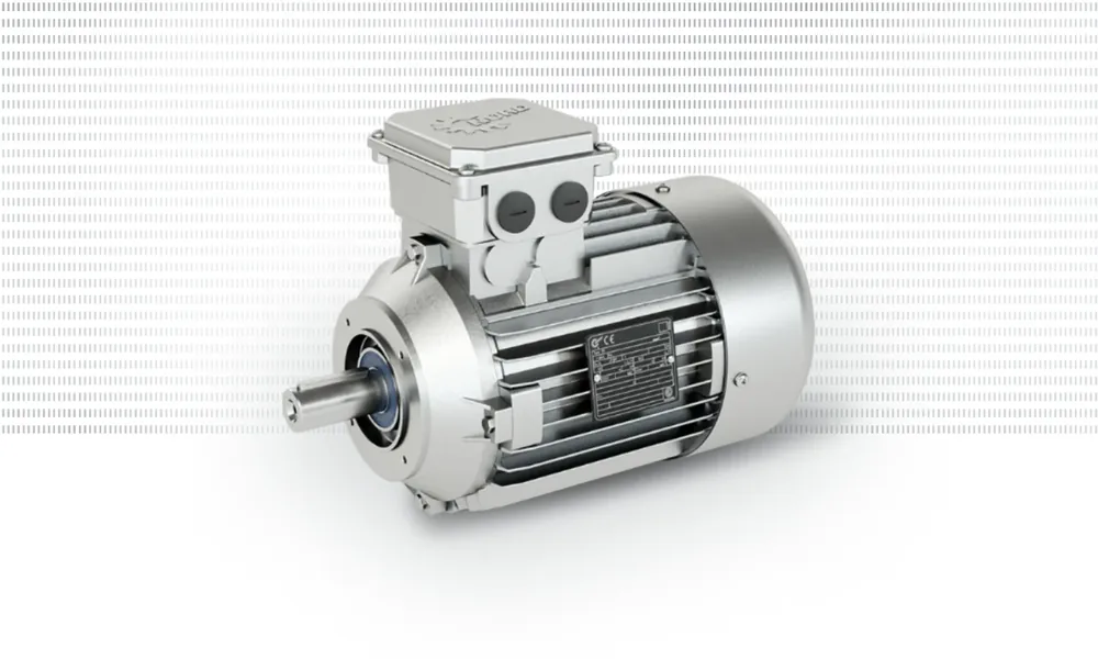 Motori a poli commutabili NORD Drivesystems