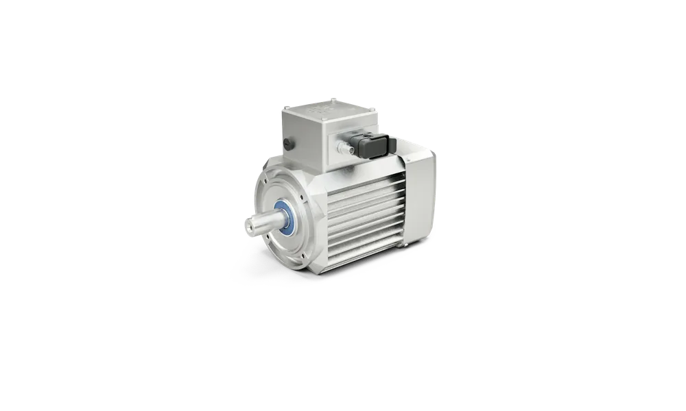 Motori sincroni IE5+ (TEFC) NORD Drivesystems