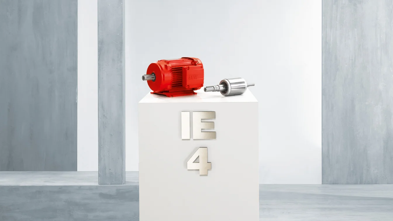 Variante motori sincroni DR...J (tecnologia LSPM) SEW-Eurodrive