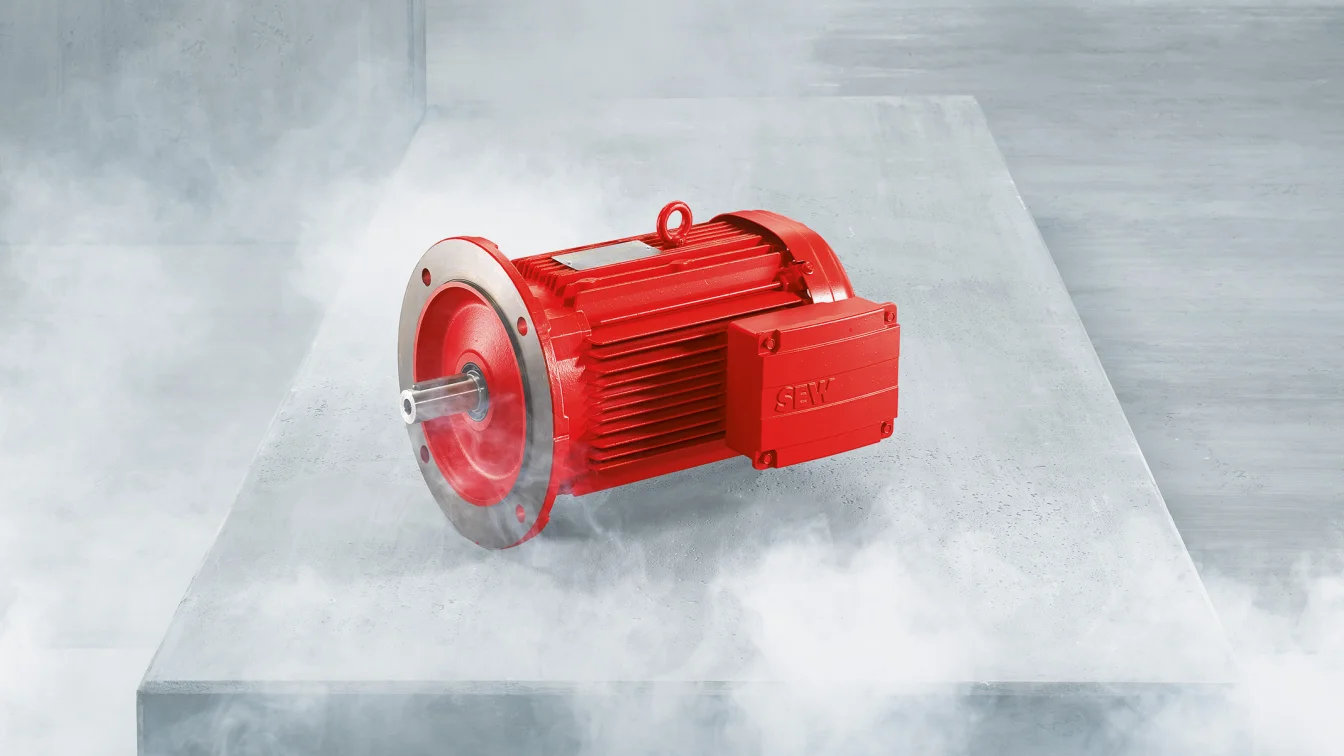 EDR.. motori AC antideflagranti SEW-Eurodrive