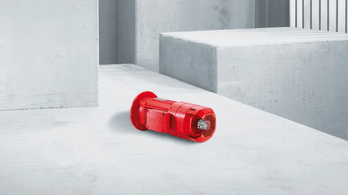 Servomotori asincroni serie D2RL.. SEW-Eurodrive