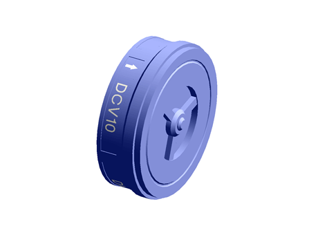 DCV10 Disc Check Valve DN25 ASME 150/300 Austenitic Stainless Steel Inconel Spring Spirax Sarco